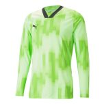 PUMA TeamTarget LS Goalkeeper Jersey