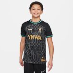 Nike Liverpool FC x LeBron James Youth Stadium Jersey