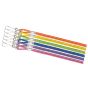 Champion Lanyard