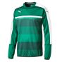 Puma Veloce Training Sweatshirt