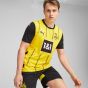 PUMA Borussia Dortmund 2024/25 Men's Home Jersey