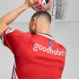 PUMA PSV Eindhoven 2024/25 Men's Home Jersey