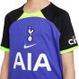 Nike Youth Tottenham 2022/23 Away Jersey