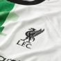 Nike Liverpool 2023/24 Men's Match Away Jersey