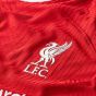 Nike Liverpool 2023/24 Men's Match Home Jersey