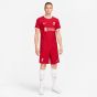 Nike Liverpool 2023/24 Men's Match Home Jersey