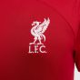 Nike Liverpool 2023/24 Men's Stadium Home Jersey