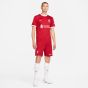 Nike Liverpool 2023/24 Men's Stadium Home Jersey