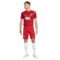 Nike Liverpool 2023/24 Men's Stadium Home Short