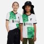 Nike Liverpool 2023/24 Youth Stadium Away Jersey