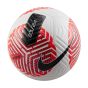 Nike Academy Soccer Ball