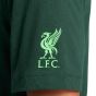 Nike Liverpool Men's Verbiage Tee