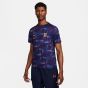 Nike England Men's Academy Pro Prematch Top