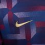 Nike England Men's Academy Pro Prematch Top