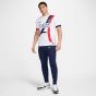 Nike Paris Saint-Germain 2024/25 Men's Match Away Jersey