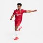 Nike Liverpool FC 2024/25 Men's Match Home Jersey