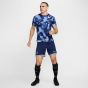 Nike Tottenham Men's Academy Pro Prematch Top