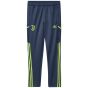 adidas Juventus Youth Training Pant