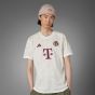 adidas Bayern Munich 2023/24 Men's Third Jersey