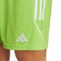 adidas Men's Tiro 23 Goalkeeper Shorts