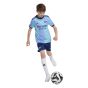 adidas Arsenal FC 2024/25 Youth Third Jersey