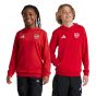 adidas Arsenal FC Youth Hoodie