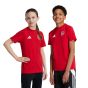 adidas Arsenal FC Youth Tee