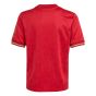 adidas Bayern Munich Youth 125th Anniversary Jersey