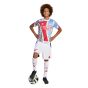 adidas Arsenal Youth Prematch Jersey