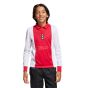 adidas Ajax 125th Anniversary Youth Jersey