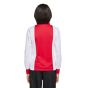 adidas Ajax 125th Anniversary Youth Jersey