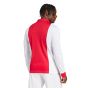 adidas Ajax 125th Anniversary Men's Jersey