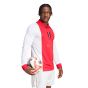 adidas Ajax 125th Anniversary Men's Jersey