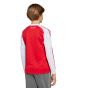 adidas Arsenal FC 2025/26 Youth Long Sleeve Home Jersey
