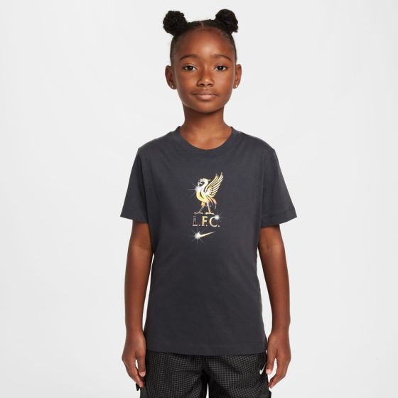 Nike Liverpool FC Youth Crest Tee