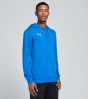 PUMA M Teamgoal 23 Hoodie