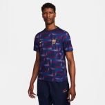 Nike England Men's Academy Pro Prematch Top