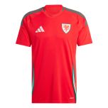 adidas Wales 2024 Men's Home Jersey