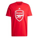 adidas Arsenal FC Men's DNA Graphic Tee