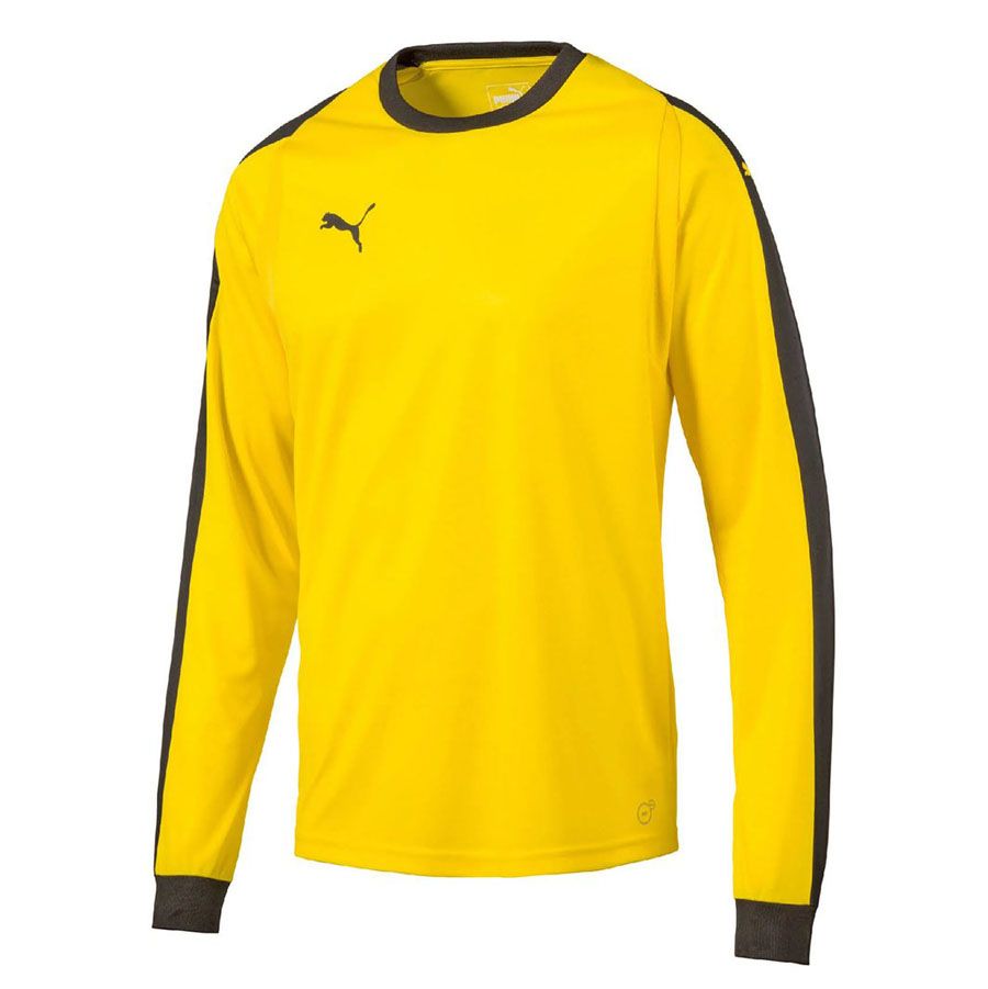 puma cup goalkeeper jersey