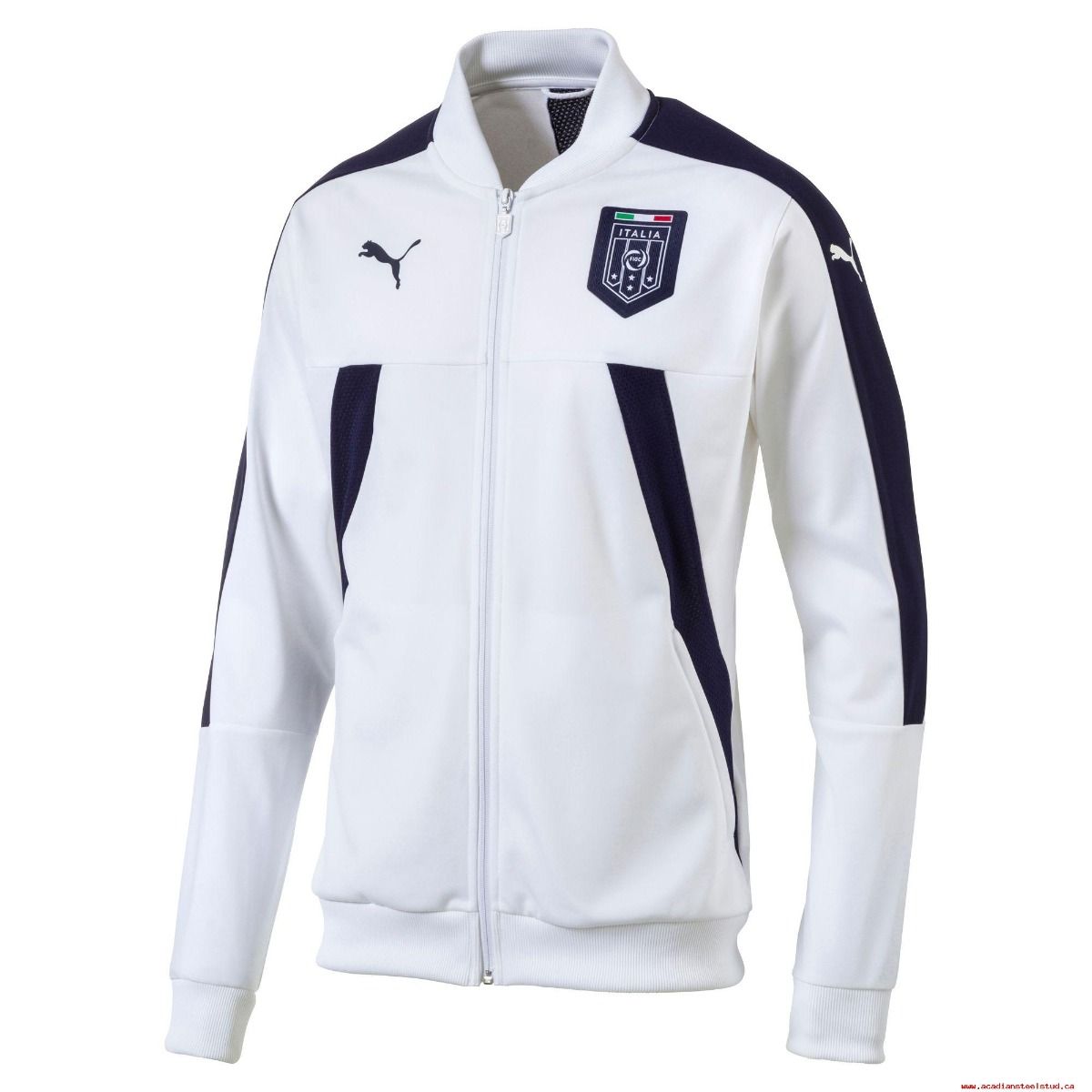 Puma Figc Italia Stadium Track Jacket Puma White 75075002