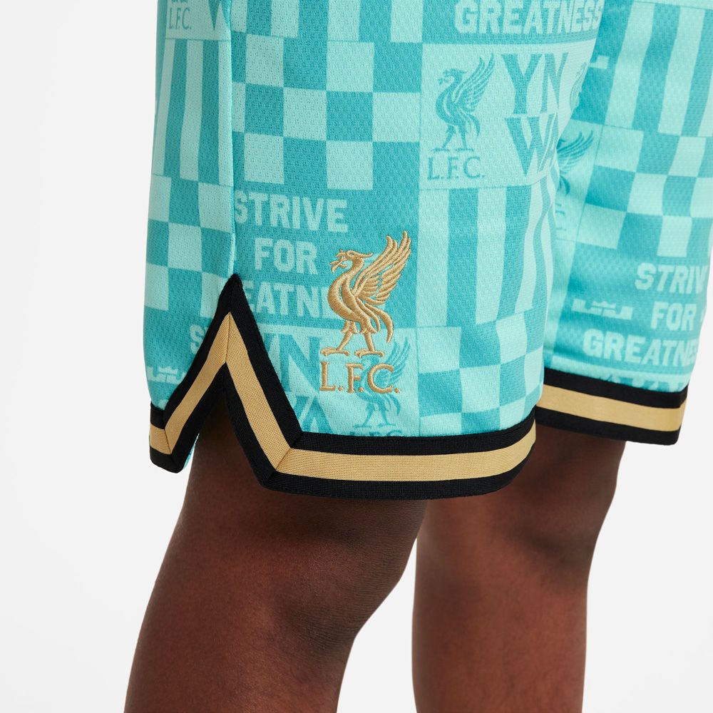 Nike Liverpool FC x LeBron James Youth Basketball Shorts