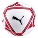 PUMA Final 21.6 MS