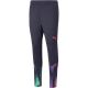 PUMA Neymar Jr 24/7 Training Pant