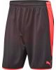 PUMA Goalkeeper Shorts