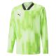 PUMA TeamTarget LS Youth Goalkeeper Jersey