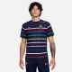 Nike France Men's Dri-Fit Academy Pro Prematch Top