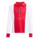 adidas Ajax 125th Anniversary Youth Jersey