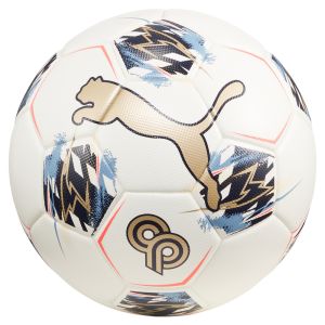 PUMA Christian Pulisic Performance Soccer Ball