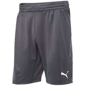 Puma Goalkeeper Shorts